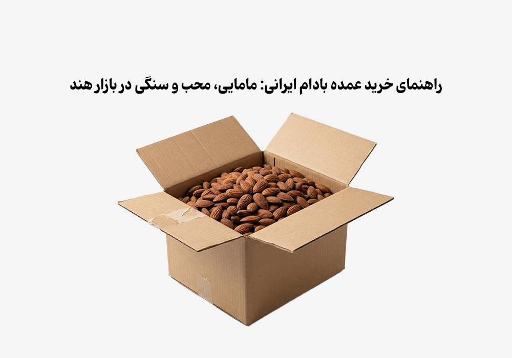راهنمای خرید عمده بادام ایرانی: مامایی، محب و سنگی در بازار هند