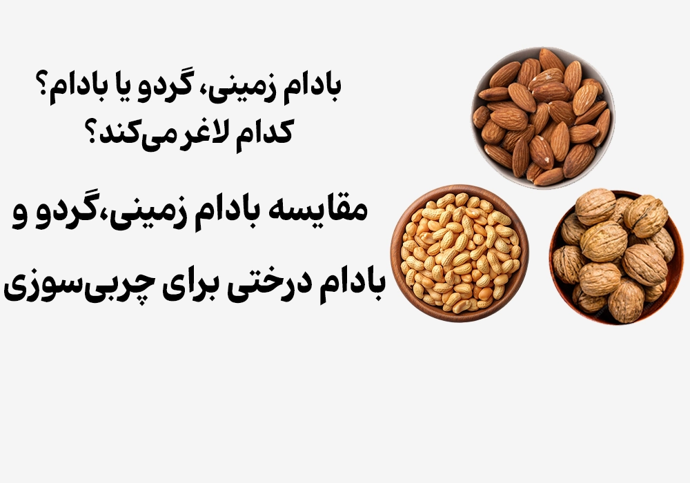 The nut battle: Peanuts, walnuts, or almonds? Which one helps with weight loss?