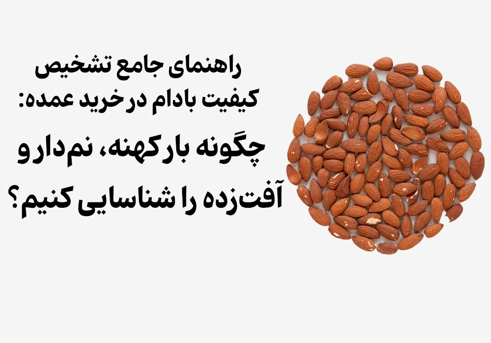 Comprehensive Guide to Almond Quality Control for Bulk Buyers: