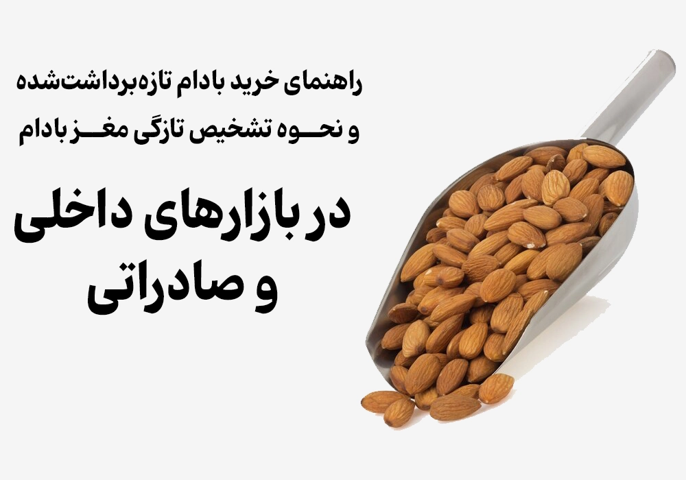 نحوه تشخیص تازگی مغز بادام در بازارهای داخلی و صادراتی