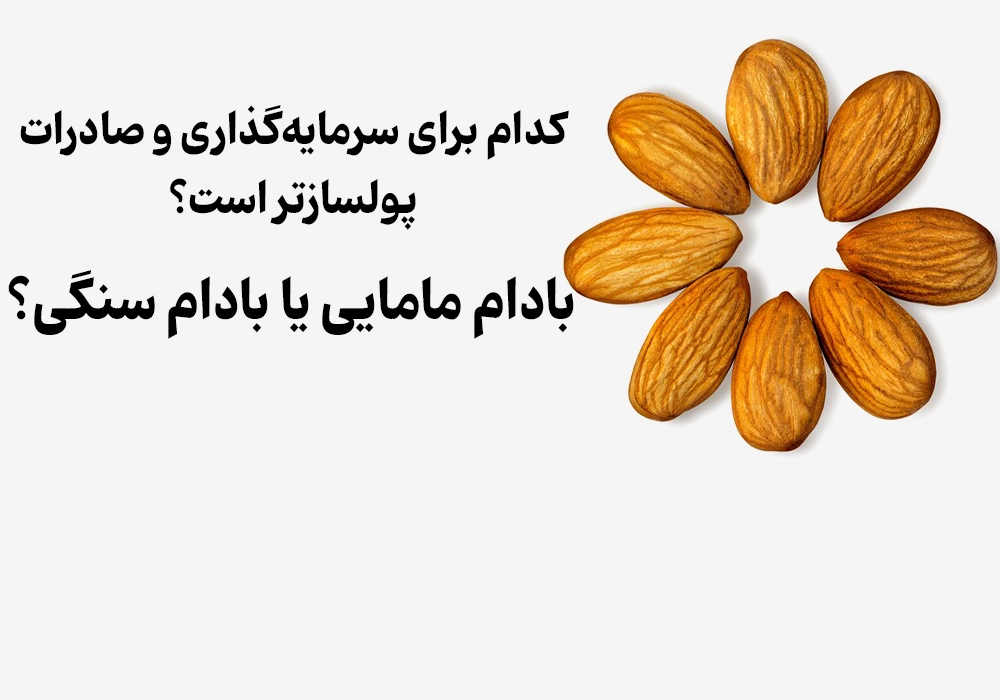 Mamra Almond or Stone Almond?