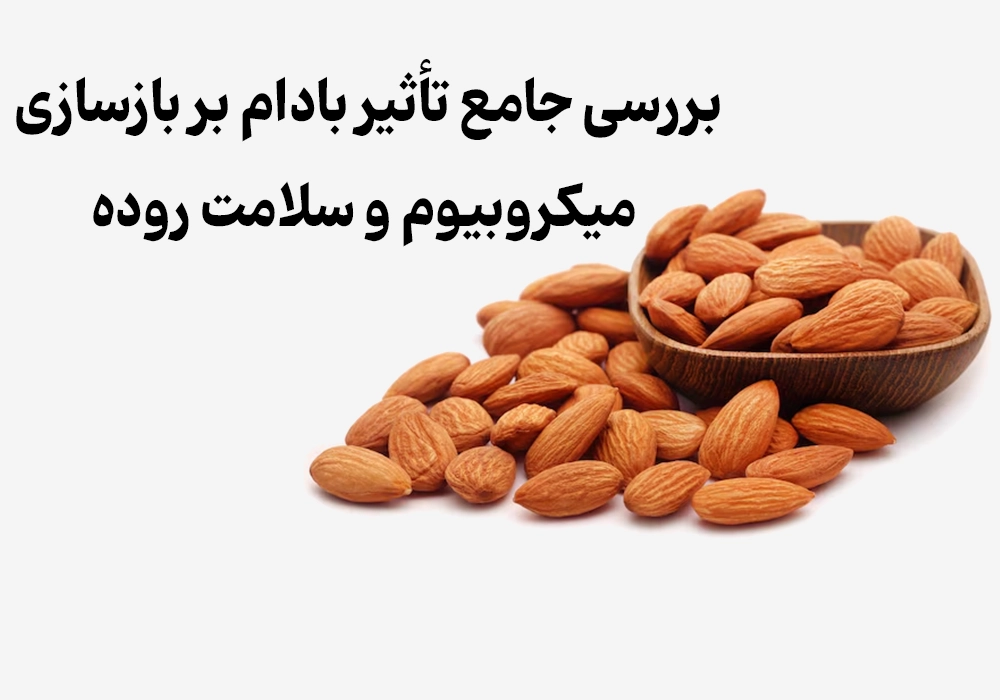 بررسی جامع تأثیر بادام بر بازسازی میکروبیوم و سلامت روده
