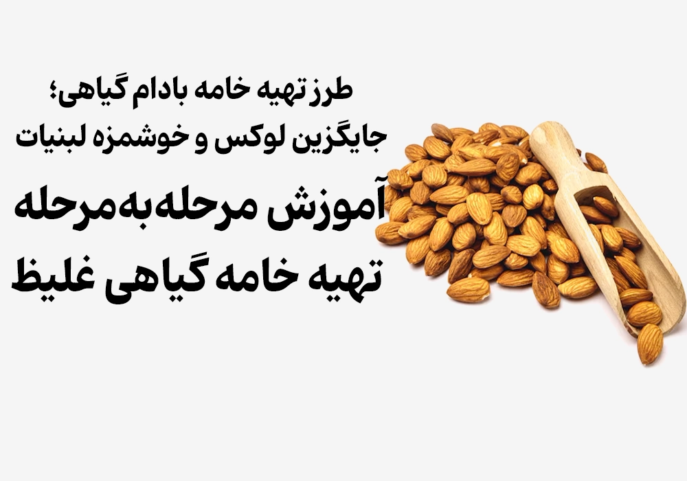 طرز تهیه خامه بادام گیاهی؛ جایگزین لوکس و خوشمزه لبنیات