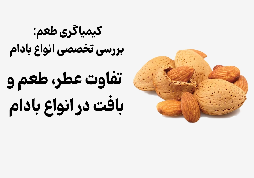 کیمیاگری طعم: بررسی تخصصی انواع بادام