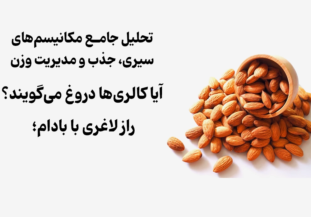 تحلیل جامع مکانیسم‌های سیری، جذب و مدیریت وزن