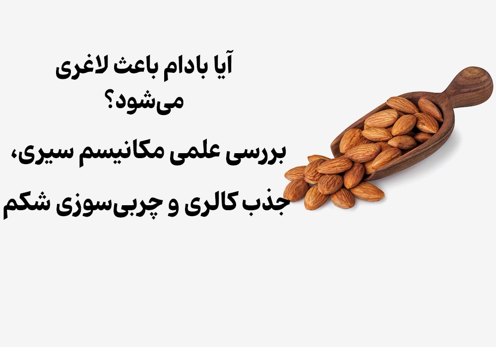 Can Almonds Help You Lose Weight?