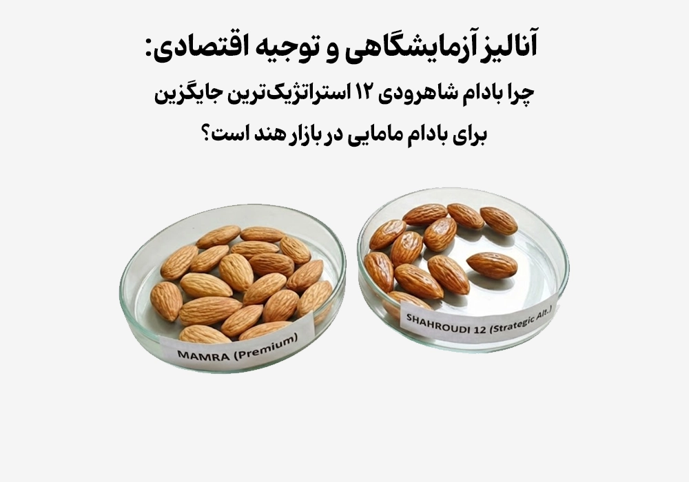 آنالیز آزمایشگاهی بادام شاهرودی ۱۲