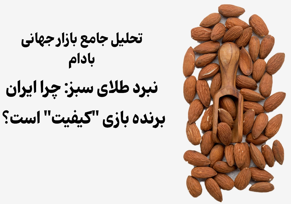 Comprehensive analysis of the global almond market
