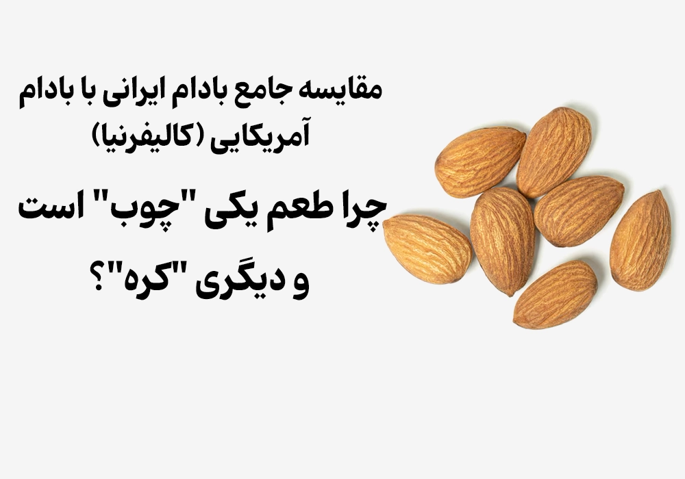 مقایسه جامع بادام ایرانی با بادام آمریکایی (کالیفرنیا)