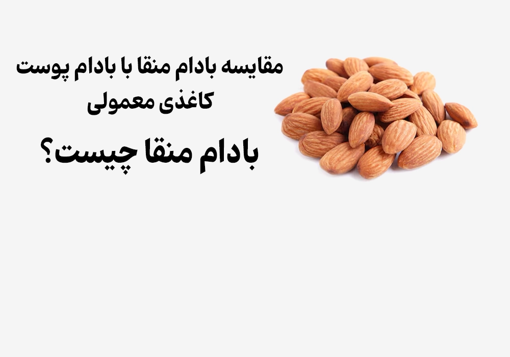 What is Monagha Almond?