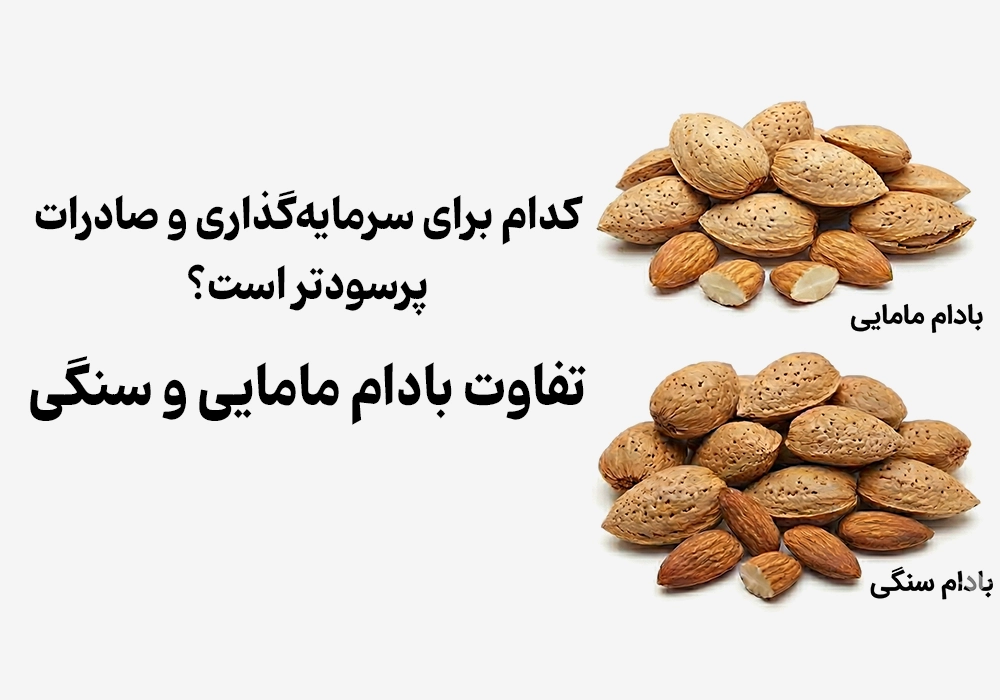 Is Investing in Mamra Almonds More Profitable than Stone Almonds?