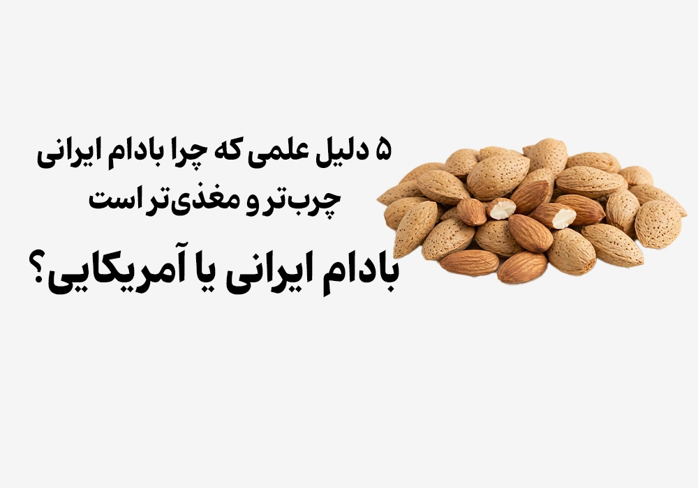 Iranian vs. American Almonds: 5 Scientific Reasons Why Iranian Almonds Have Higher Oil Content