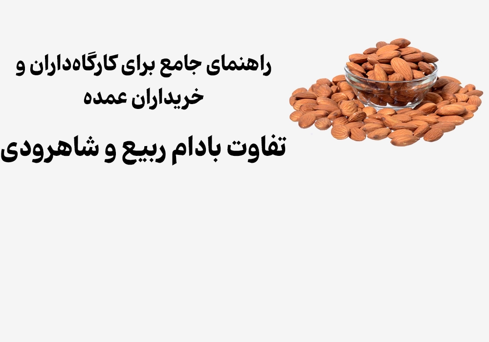 تفاوت بادام ربیع و شاهرودی