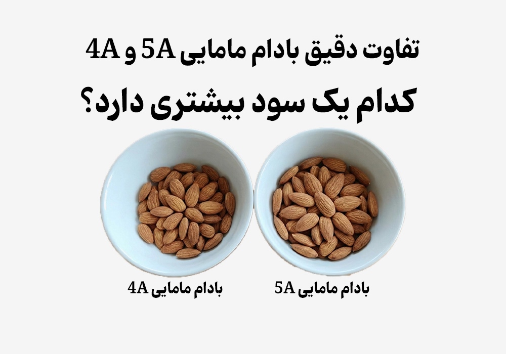 تفاوت دقیق بادام مامایی 5A و 4