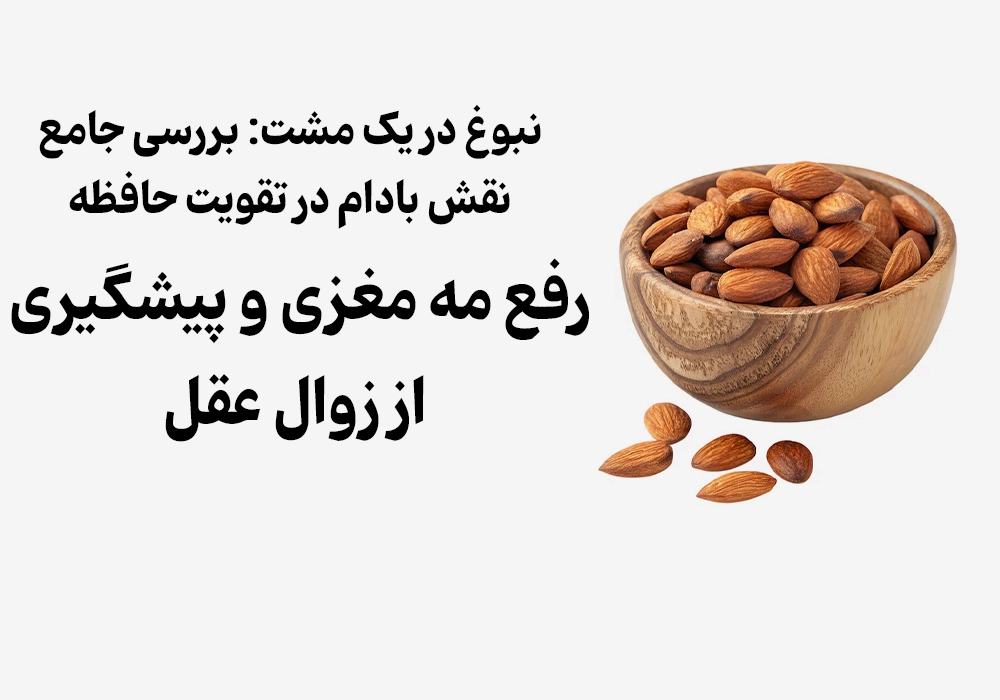 A Comprehensive Review of Almonds for Memory