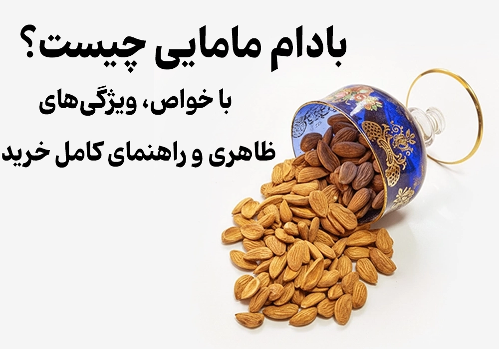 <p>Midwifery Almonds: The Complete Guide</p>