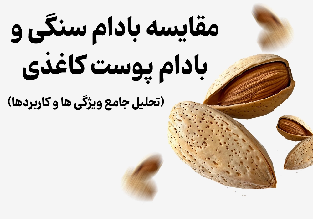 <p>Comparison of Stone Almonds and Paper-Skinned Almonds: Which is Better?</p>