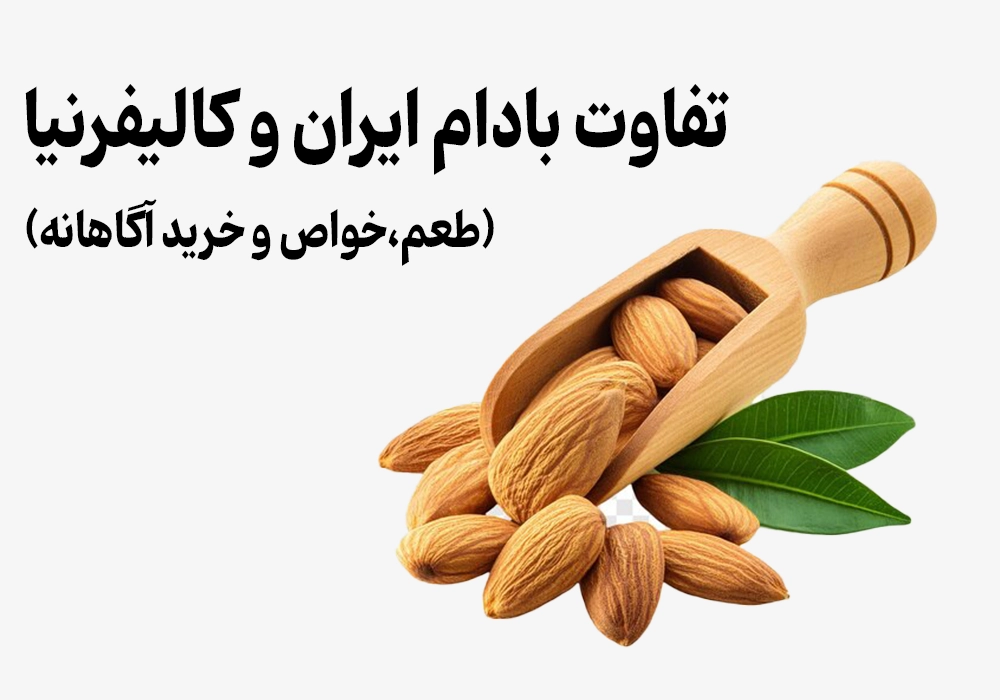 <p>Difference between Iranian and California almonds: Taste, properties and knowledgeable buying</p>