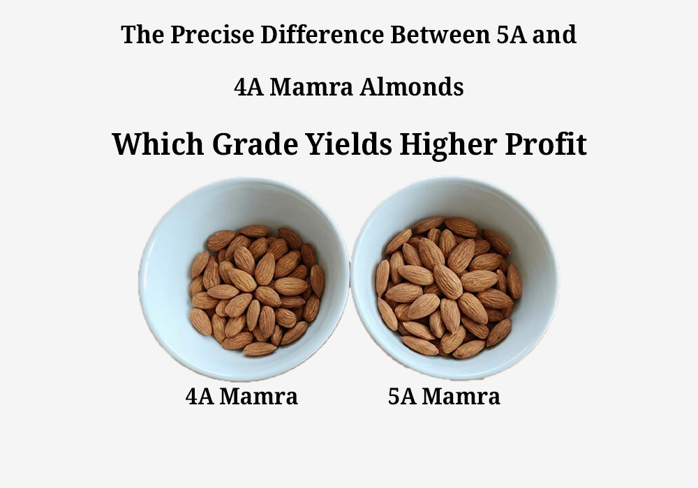 Mamra Almond 5A vs 4A