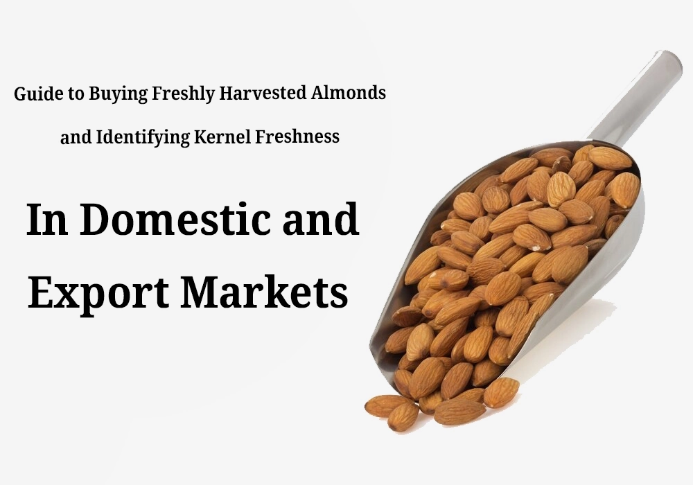 How to determine the freshness of almond kernels in domestic and export markets