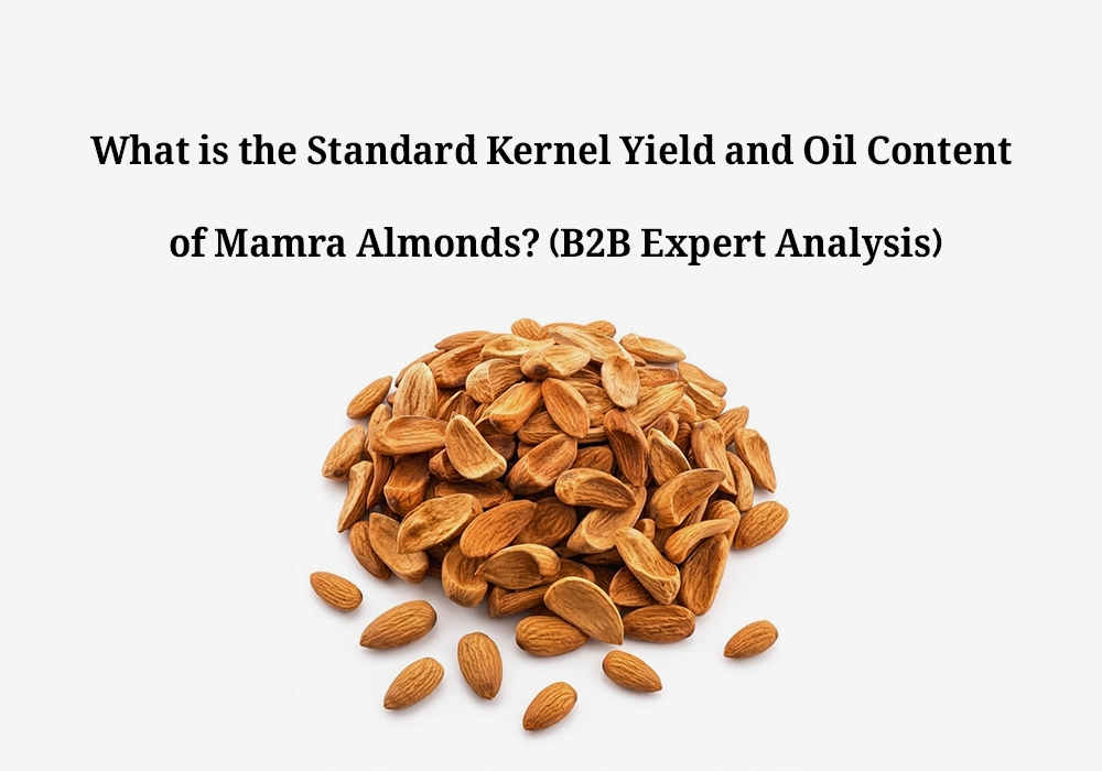 What is the Standard Kernel Yield and Oil Content of Mamra Almonds?