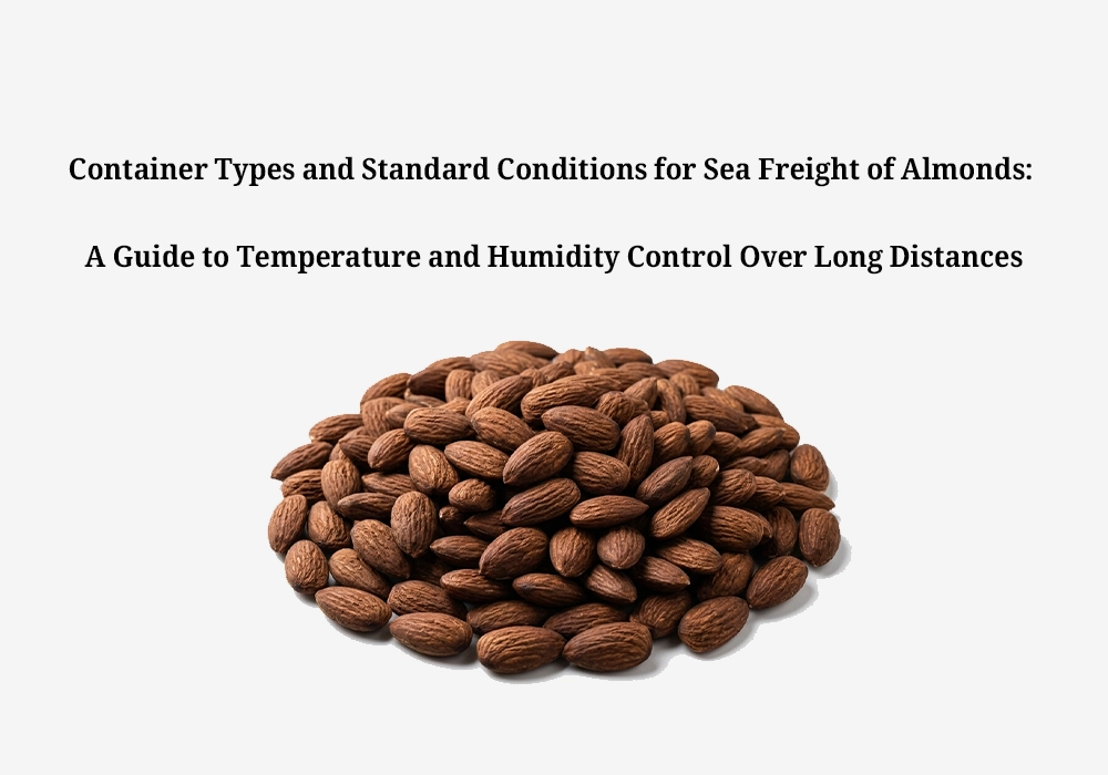 Container Types and Standard Conditions for Sea Freight of Almonds: A Guide to Temperature and Humidity Control Over Long Distances