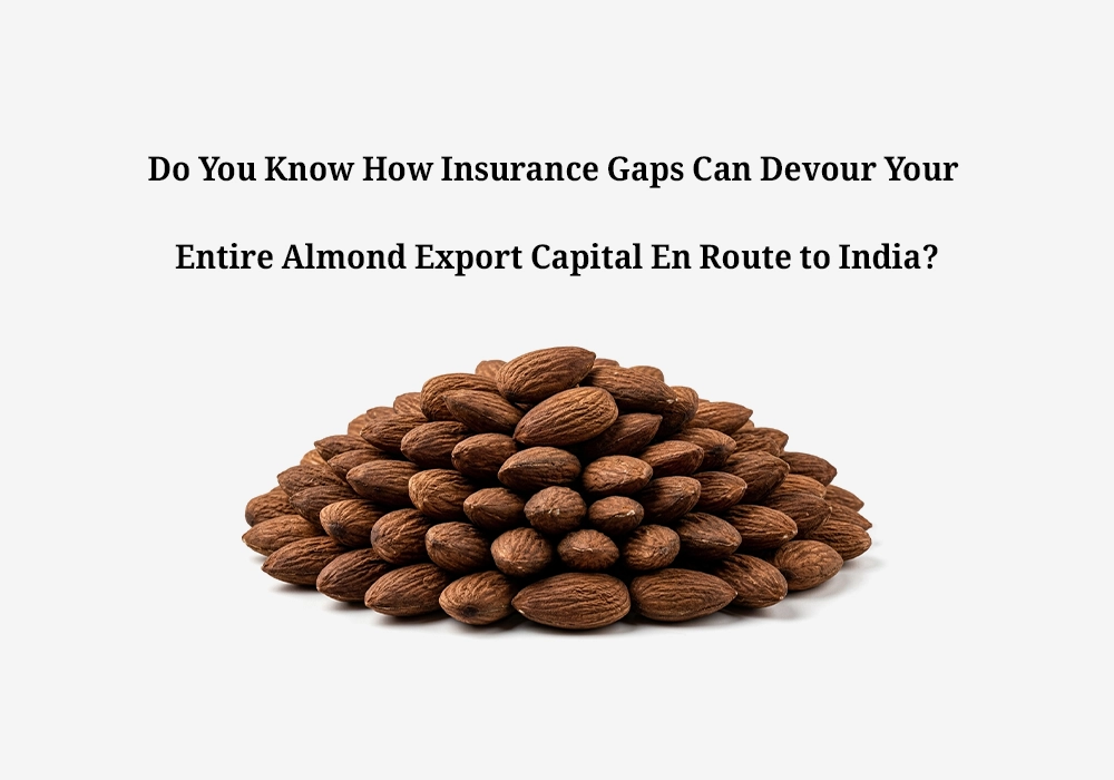 Do You Know How Insurance Gaps Can Devour Your Entire Almond Export Capital En Route to India?