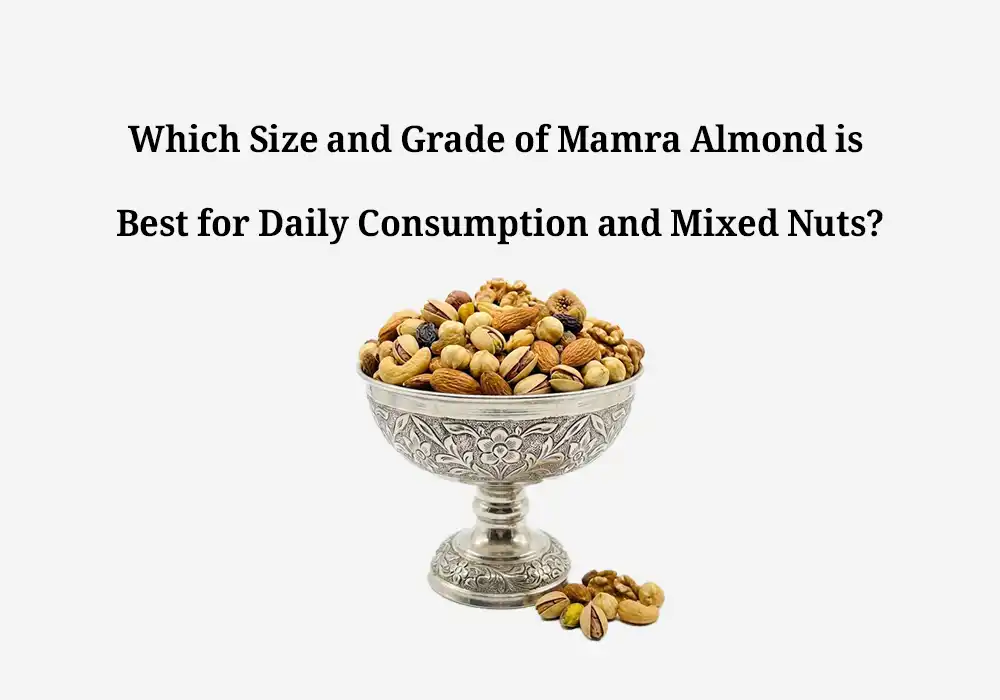 Which Size and Grade of Mamra Almond is Best for Daily Consumption and Mixed Nuts?