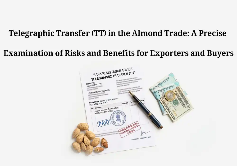 Telegraphic Transfer in the Almond Trade: A Precise Examination of Risks and Benefits for Exporters and Buyers