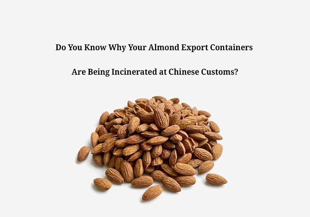 Do You Know Why Your Almond Export Containers Are Being Incinerated at Chinese Customs?