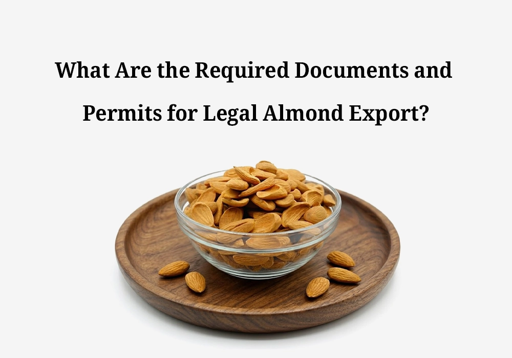 What Are the Required Documents and Permits for Legal Almond Export?