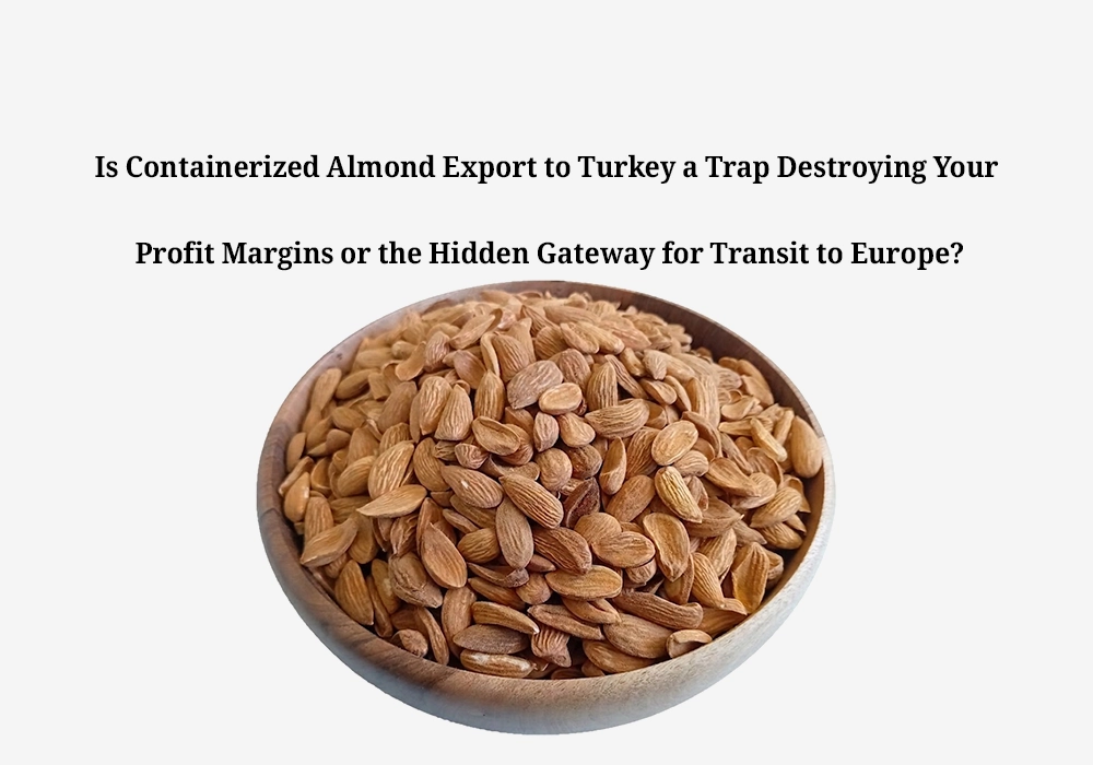 Is Containerized Almond Export to Turkey a Trap Destroying Your Profit Margins or the Hidden Gateway for Transit to Europe?