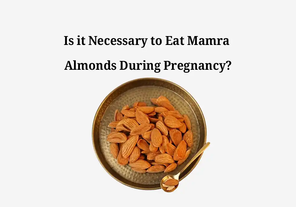 Is it Necessary to Eat Mamra Almonds During Pregnancy?