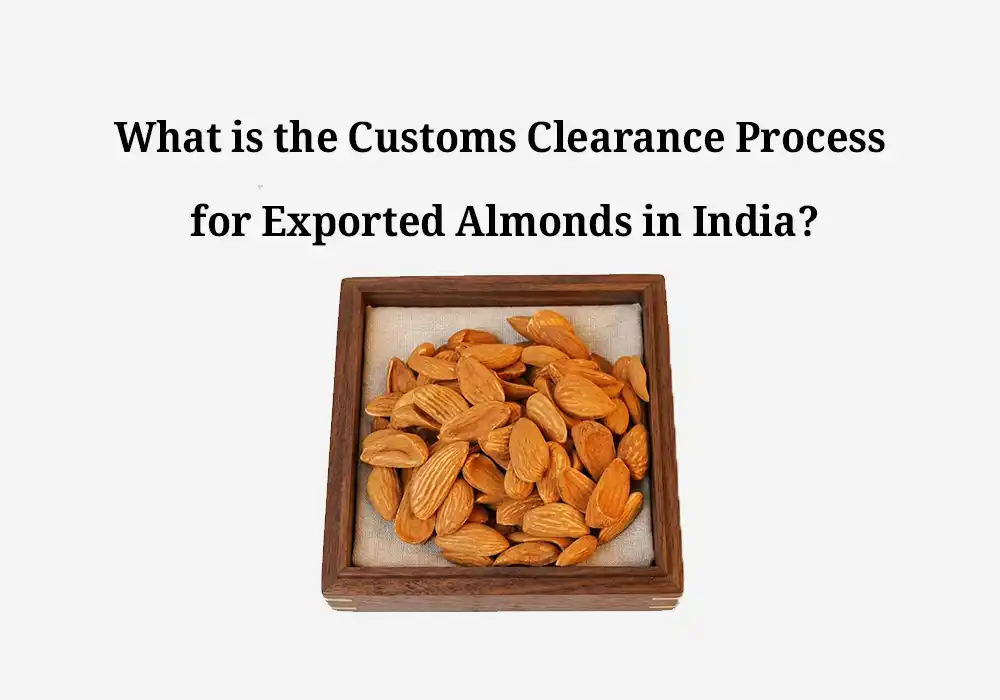 What is the Customs Clearance Process for Exported Almonds in India?