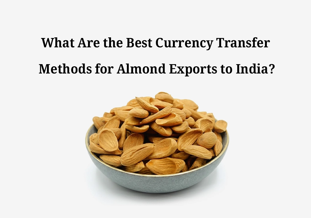 What Are the Best Currency Transfer Methods for Almond Exports to India?