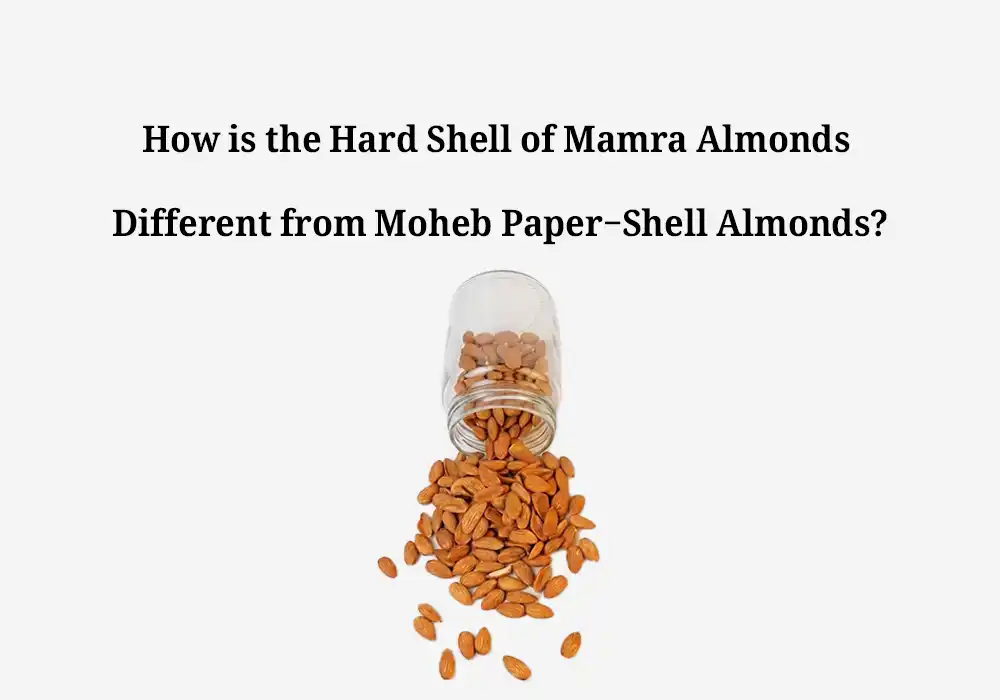 How is the Hard Shell of Mamra Almonds Different from Moheb Paper-Shell Almonds?