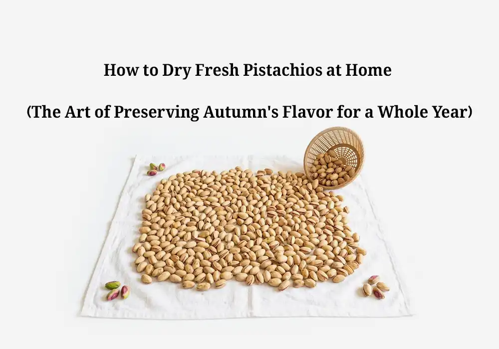 How to Dry Fresh Pistachios at Home