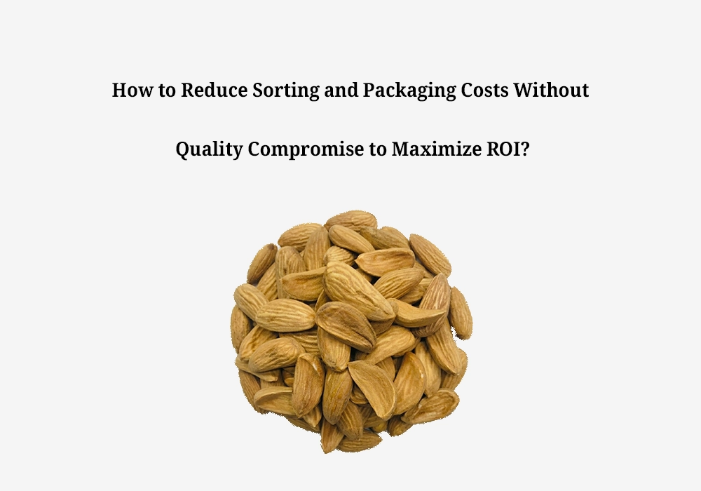 How to Cut Hidden Almond Sorting & Packaging Costs?