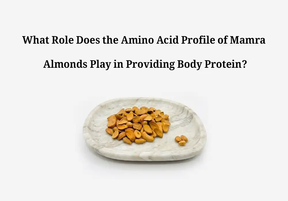 What Role Does the Amino Acid Profile of Mamra Almonds Play in Providing Body Protein?