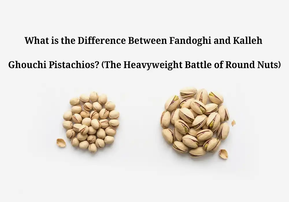 What is the Difference Between Fandoghi and Kalleh Ghouchi Pistachios? (The Heavyweight Battle of Round Nuts)