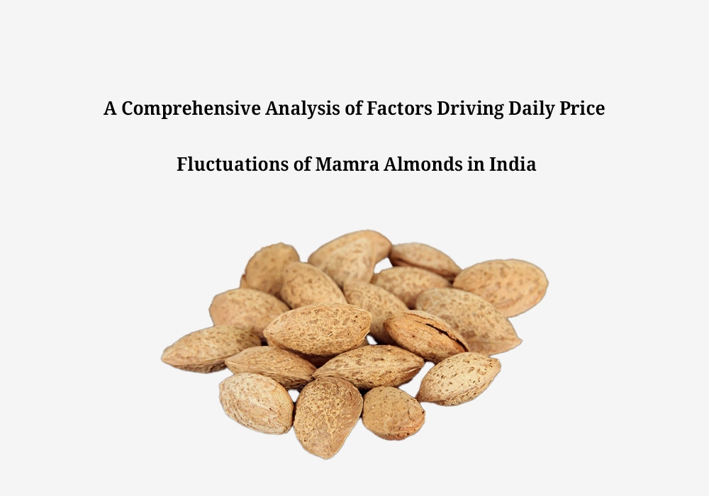Why Do Mamra Almond Prices Fluctuate Daily in India
