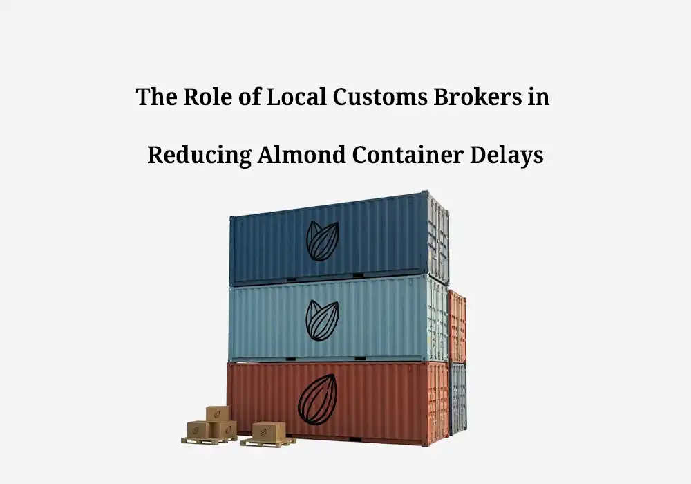 The Role of Local Customs Brokers (CHAs) in Reducing Almond Container Delays