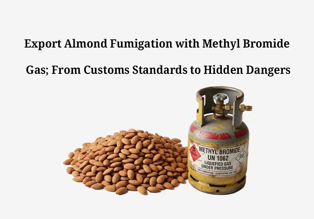 Export Almond Fumigation with Methyl Bromide Gas; From Customs Standards to Hidden Dangers