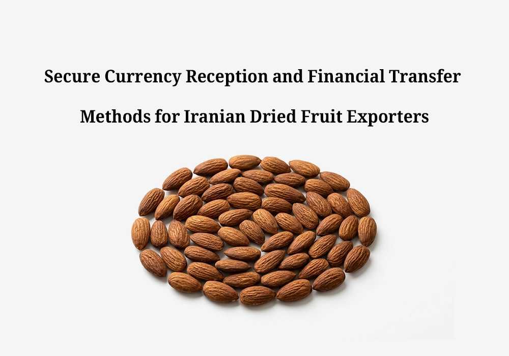 Secure Currency Reception and Financial Transfer Methods for Iranian Dried Fruit Exporters