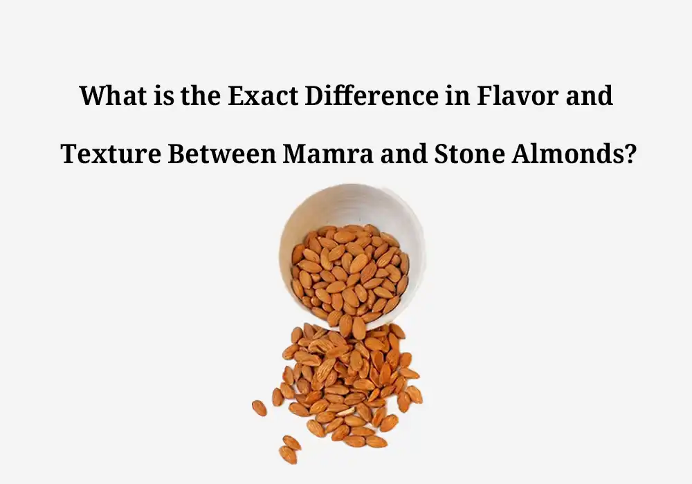 What is the Exact Difference in Flavor and Texture Between Mamra and Stone Almonds?