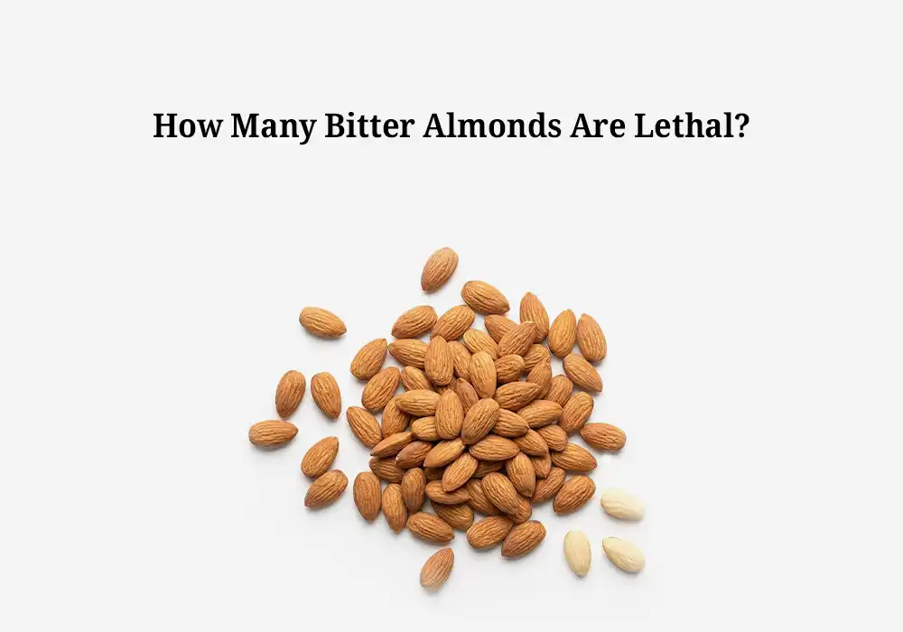 How Many Bitter Almonds Are Lethal?