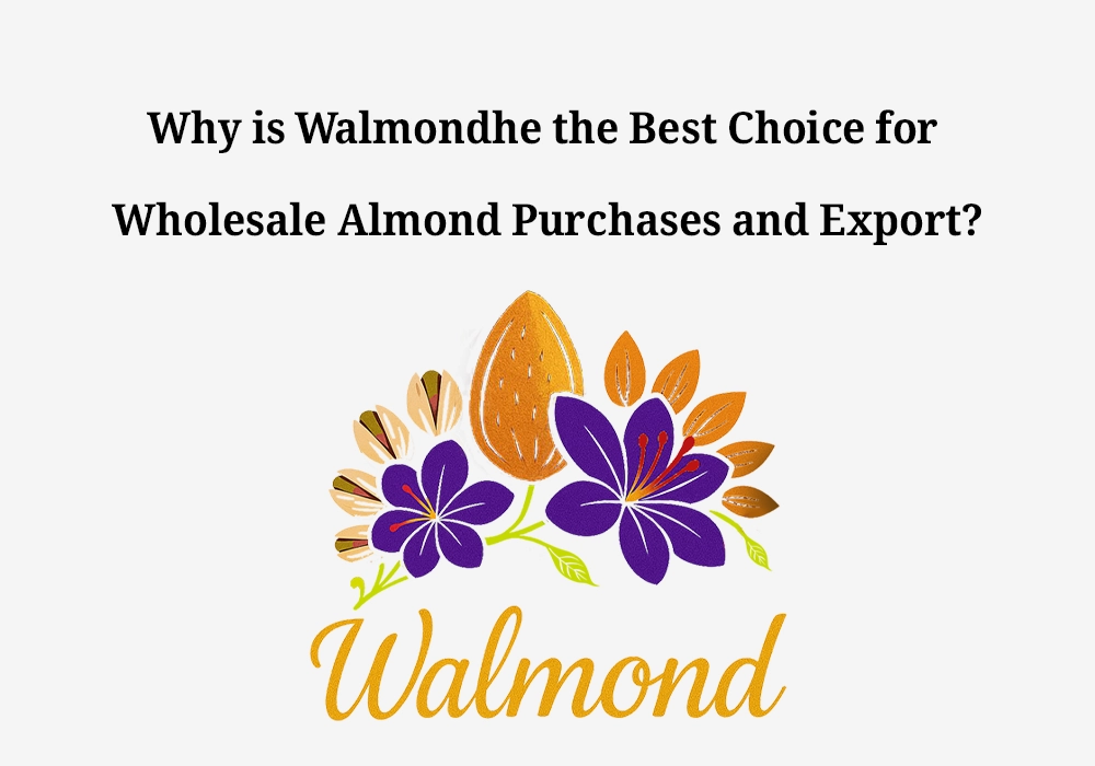 Why is Walmondhe the Best Choice for Wholesale Almond Purchases and Export?