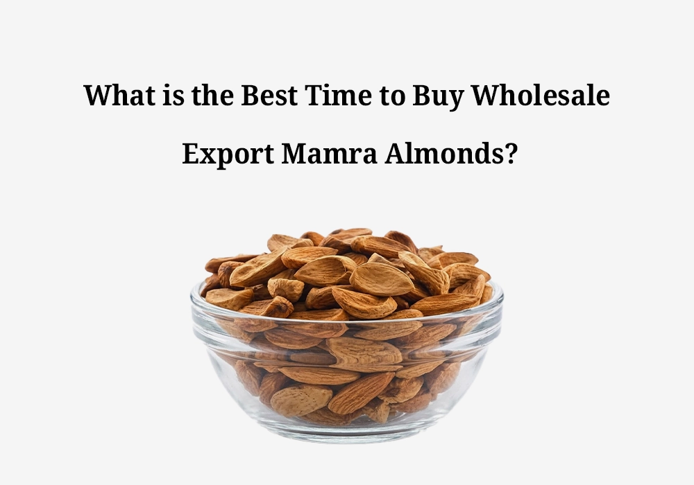 What is the Best Time to Buy Wholesale Export Mamra Almonds?