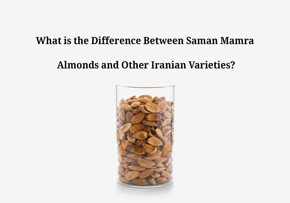What is the Difference Between Saman Mamra Almonds and Other Iranian Varieties?
