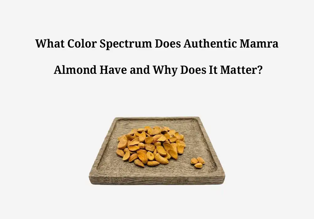 What Color Spectrum Does Authentic Mamra Almond Have and Why Does It Matter?